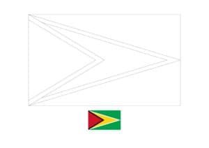 Guyana flag coloring page with a sample