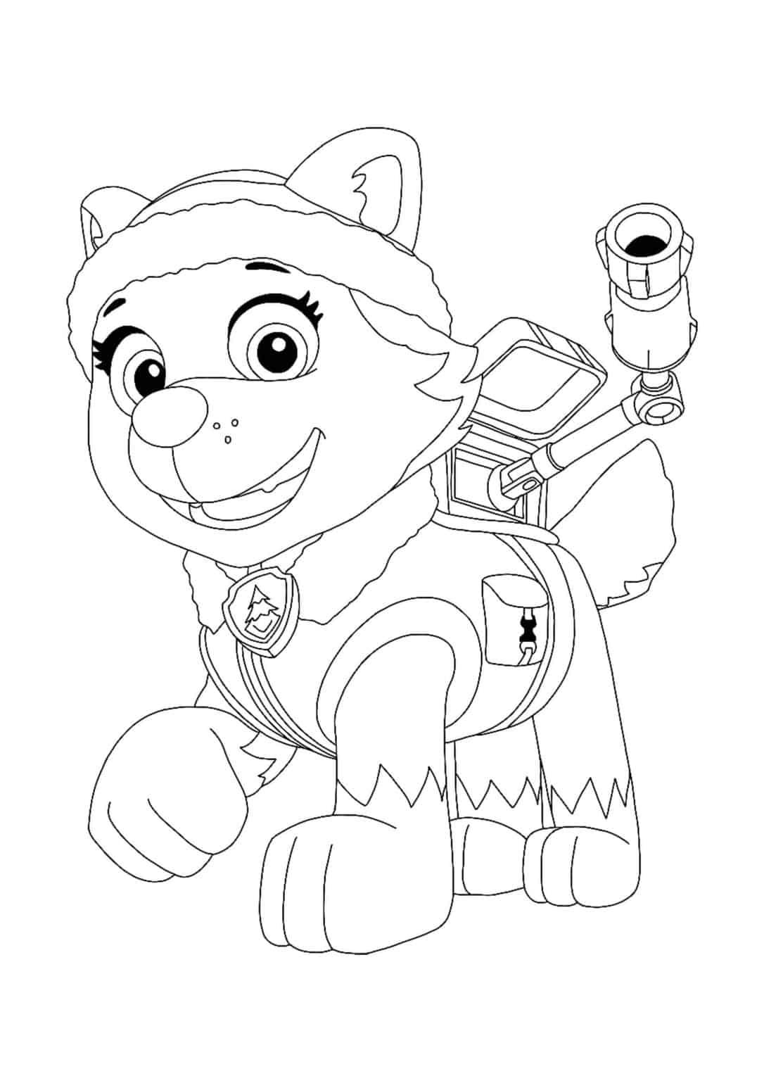 Coloriage Pat Patrouille Everest  4 Coloriages à Imprimer Gratuits  2021