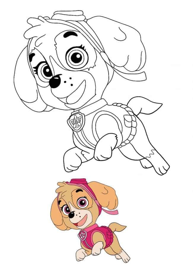 Paw Patrol Skye coloring page with sample