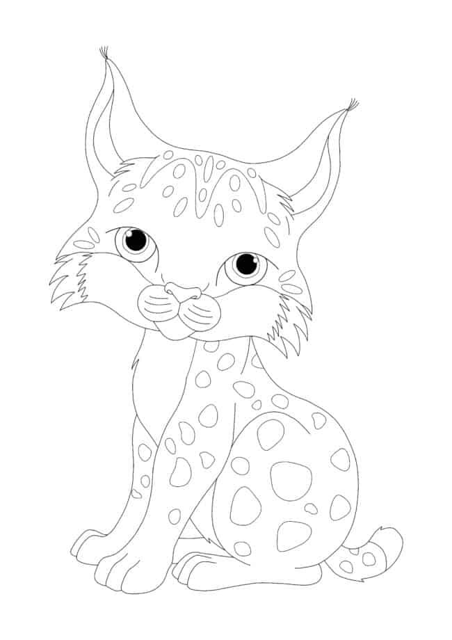 Baby Wild Cat coloring page