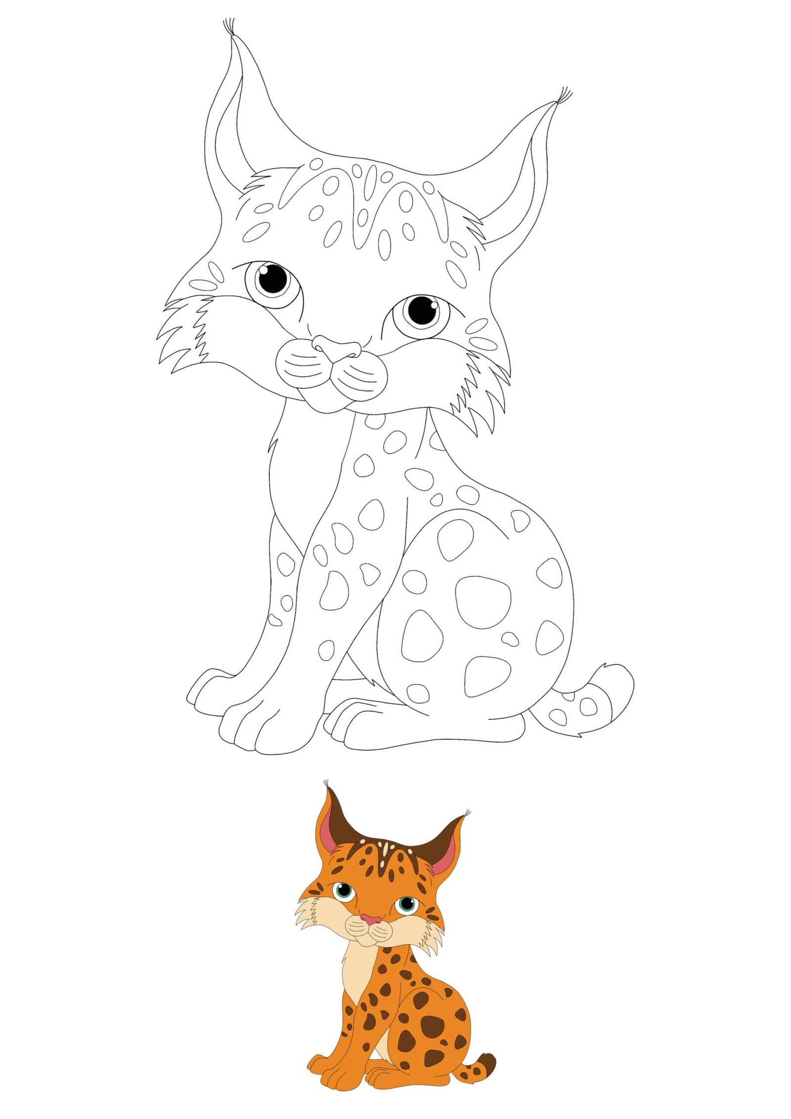Baby Wild Cat coloring page for boys and girls