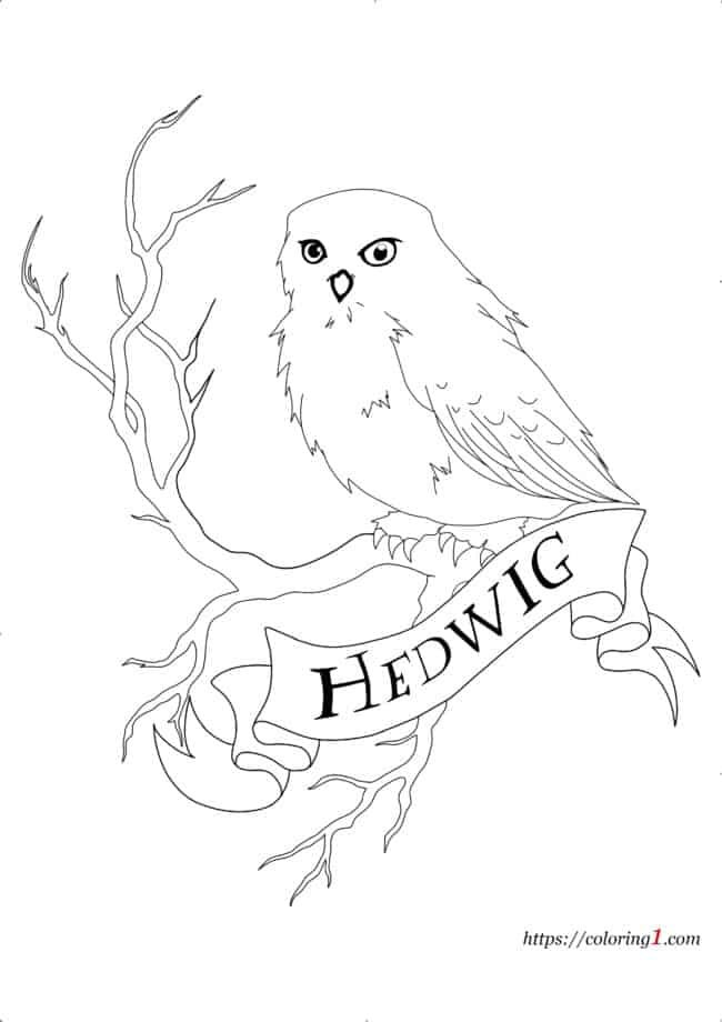 Kleurplaat Harry Potter Hedwig