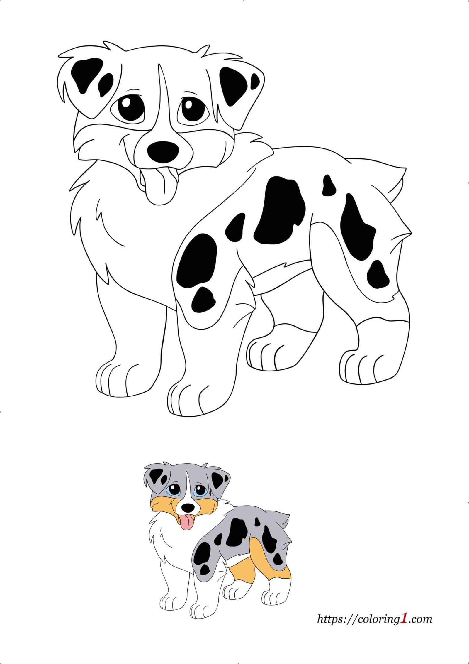 Australian Shepherd Dog Breed free printable colouring page for child
