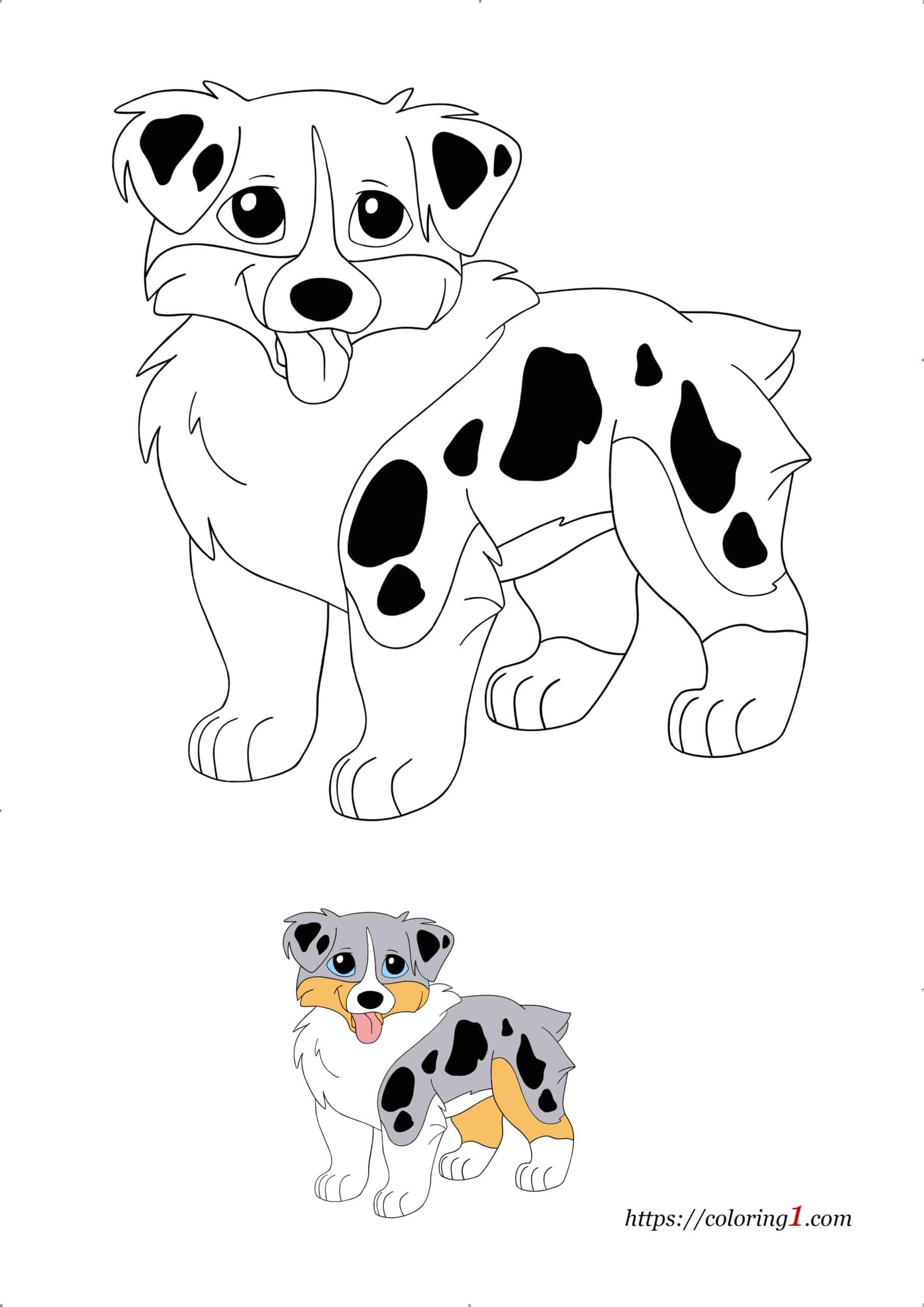 Coloriage Dessin Chien Berger Australien à imprimer gratuit