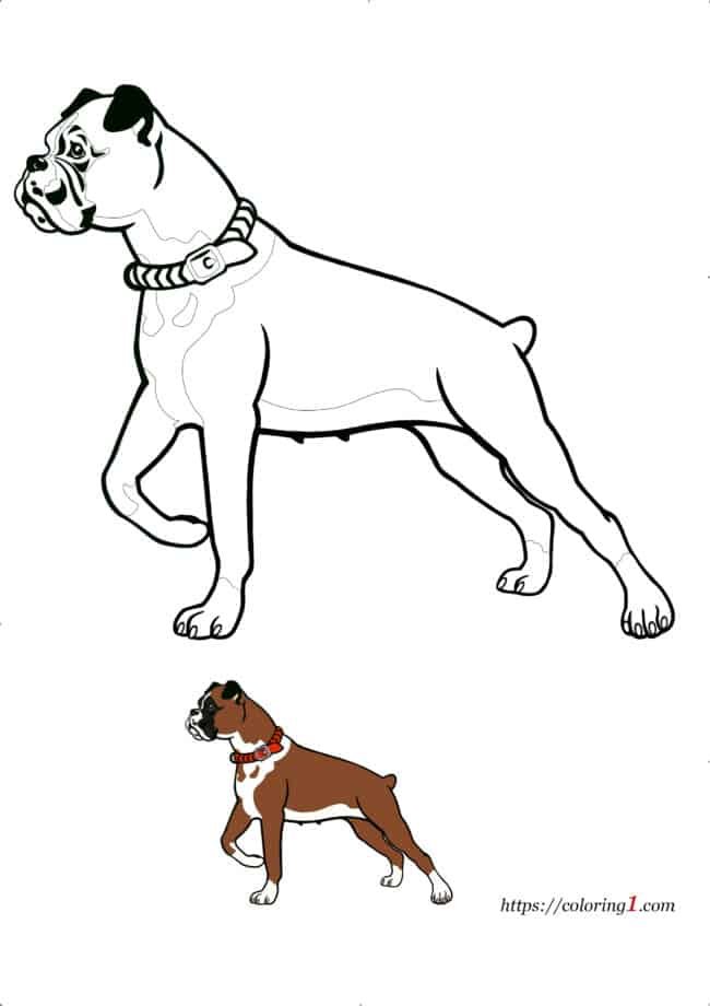 Boxer Dog Breed coloring page for kids and adults