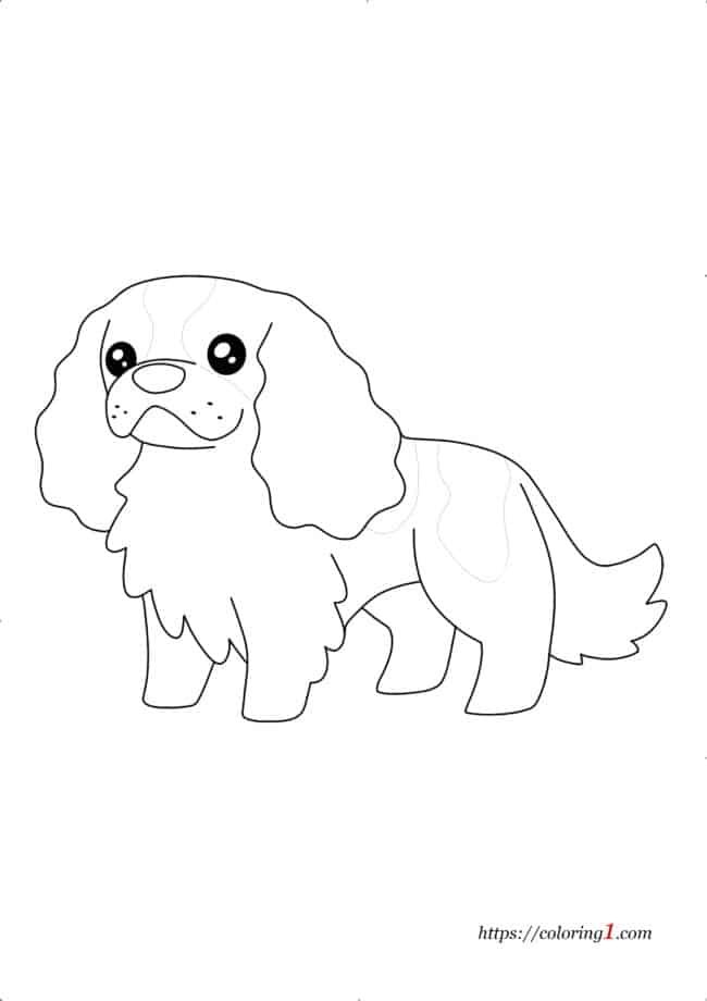 Cavalier King Charles Spaniel Dog coloring page