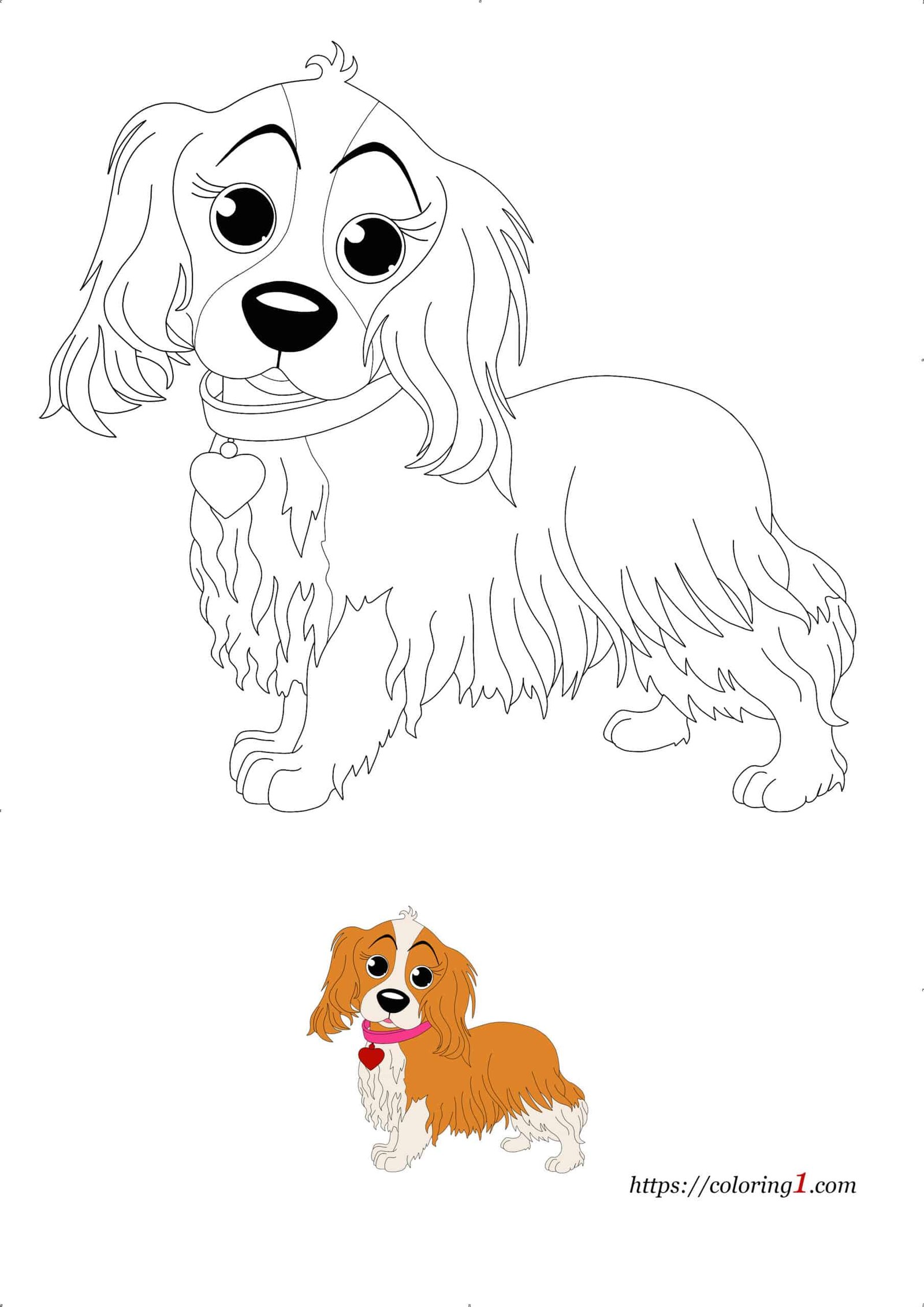 Cocker Spaniel Dog Breed coloring book page with sample