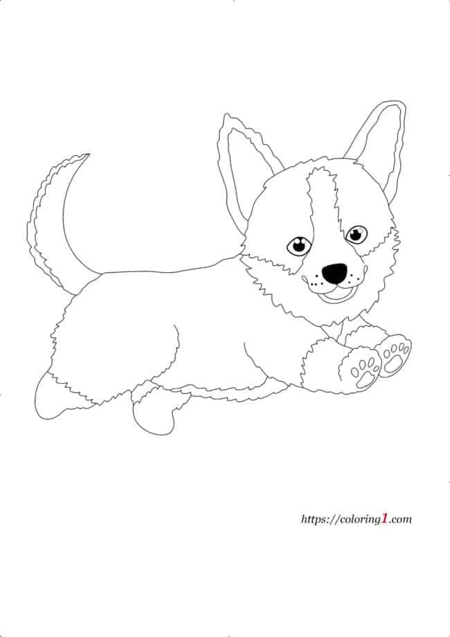Cute Corgi Dog coloring page