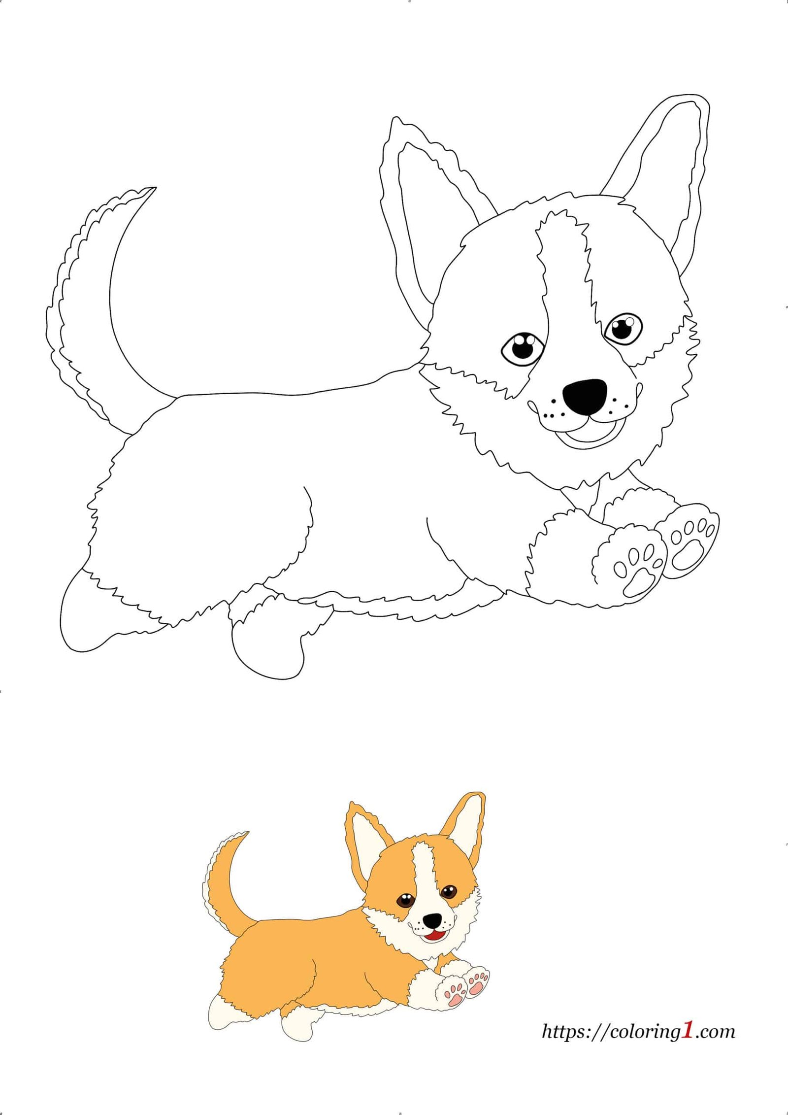 Cute Corgi Dog Breed coloring page for kids and adults