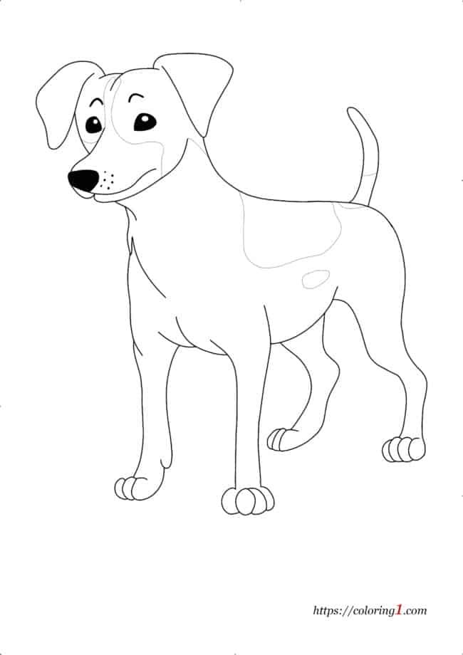 Jack Russel Dog coloring page