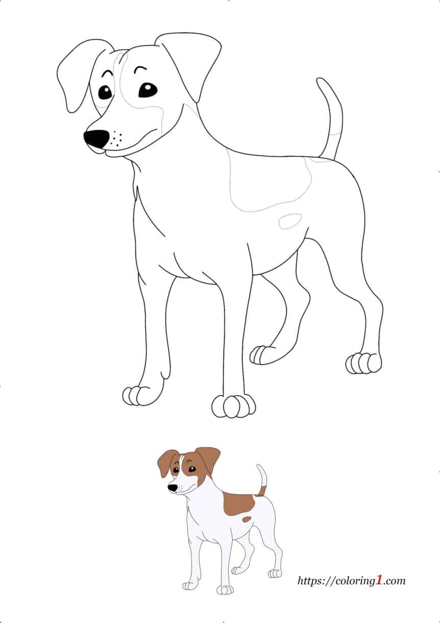 Coloriage Chien Jack Russel  Coloriage Gratuit à Imprimer Dessin 2021