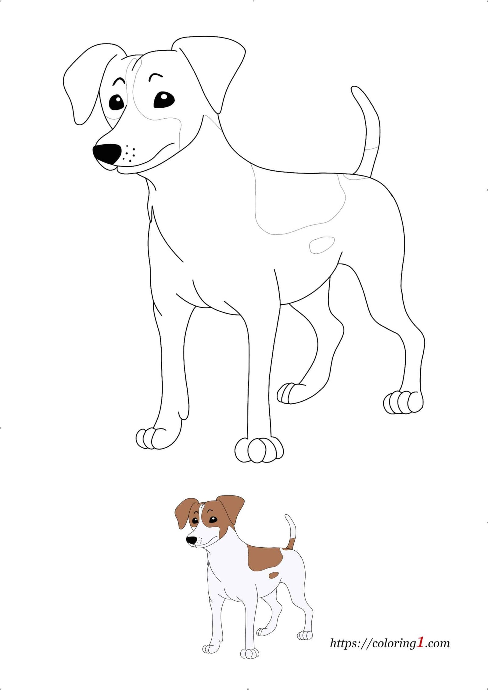 Jack Russel Dog Breed coloring page to print with sample
