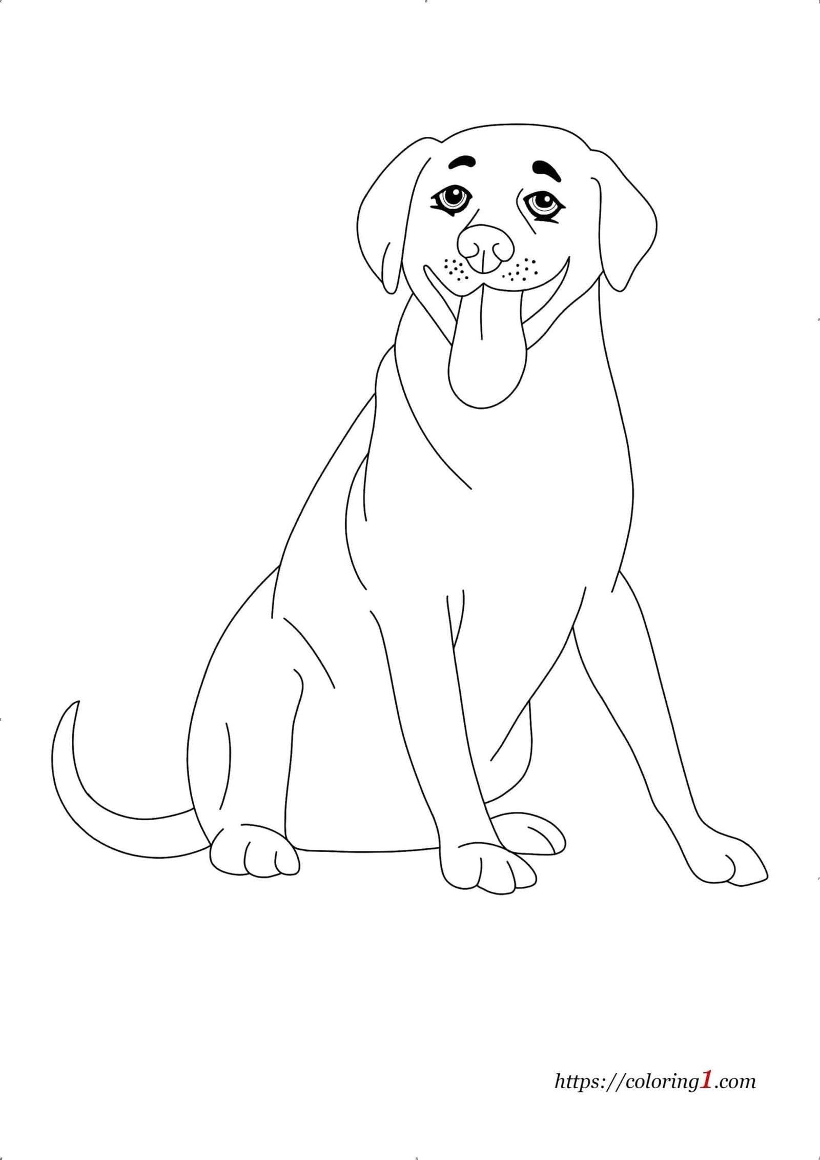 Kleurplaat Hond Labrador voor volwassenen en kinderen