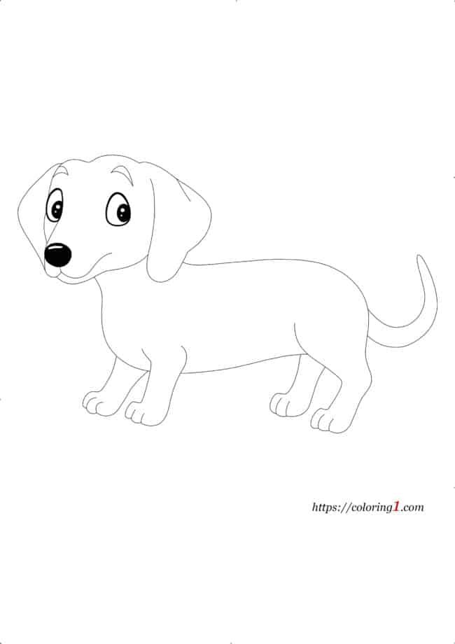 Kleurplaat Hond Teckel