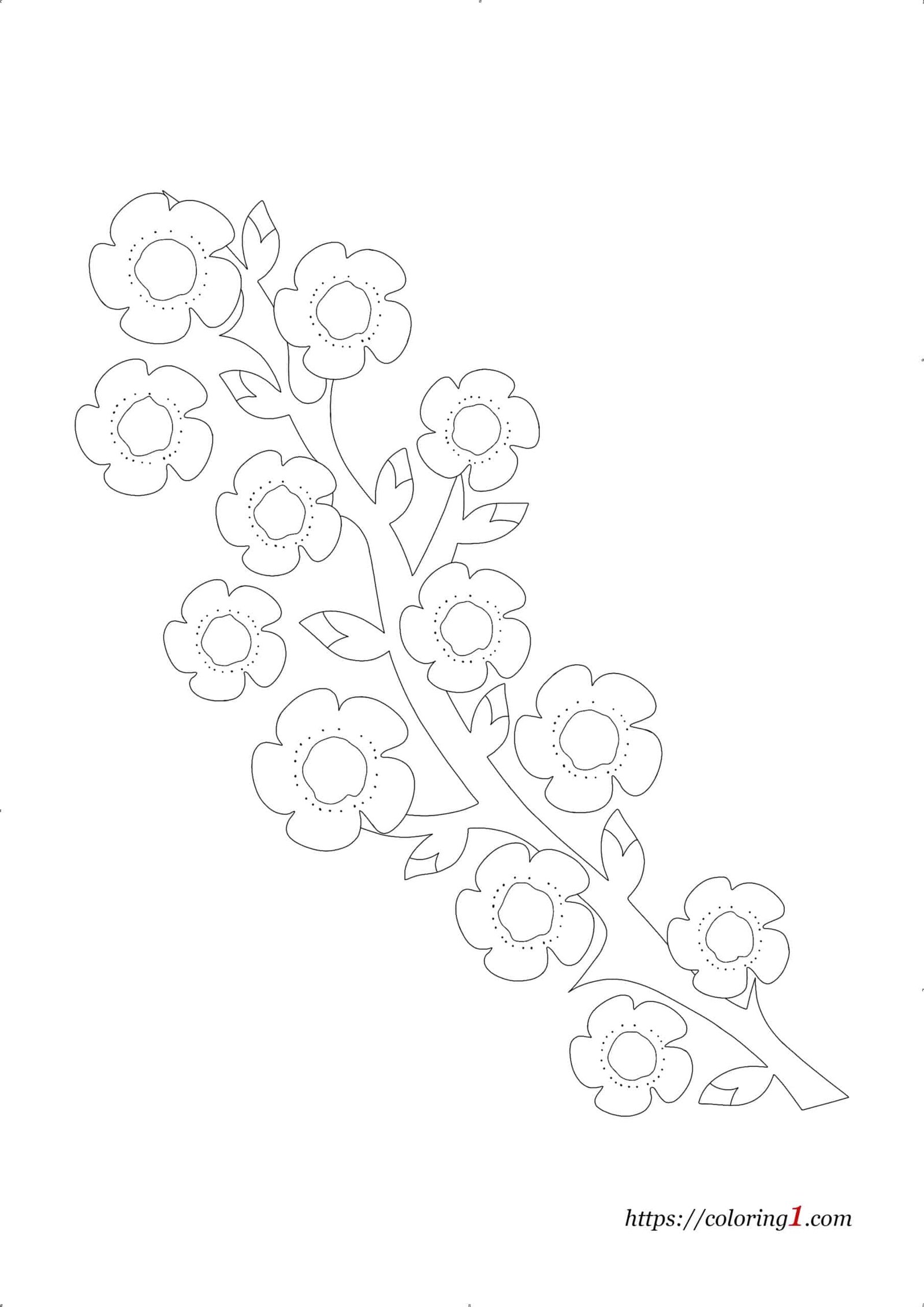 Cherry Blossom flower coloring page