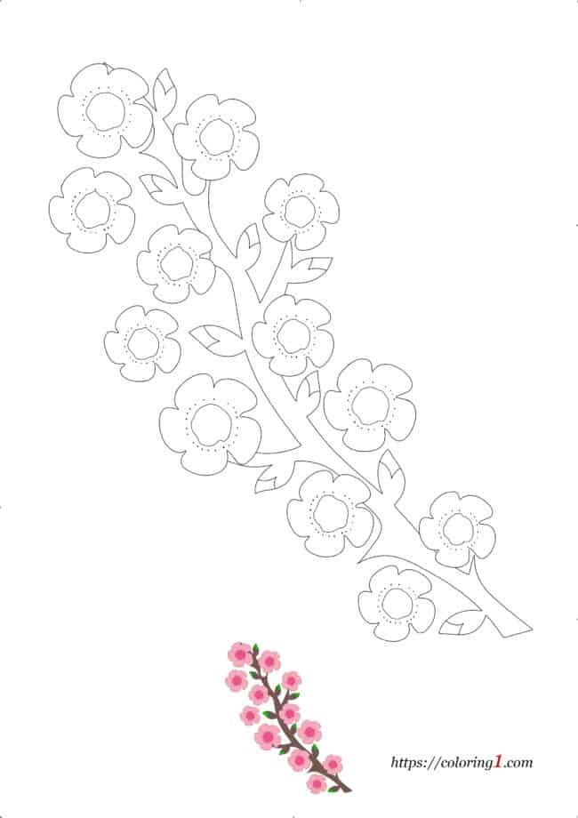 Kersenbloesem bloem kleurplaat om af te drukken met voorbeeld