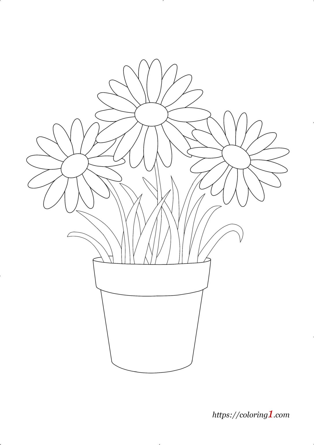 Daisy Flower Coloring Pages - 2 Free Coloring Sheets (2021)