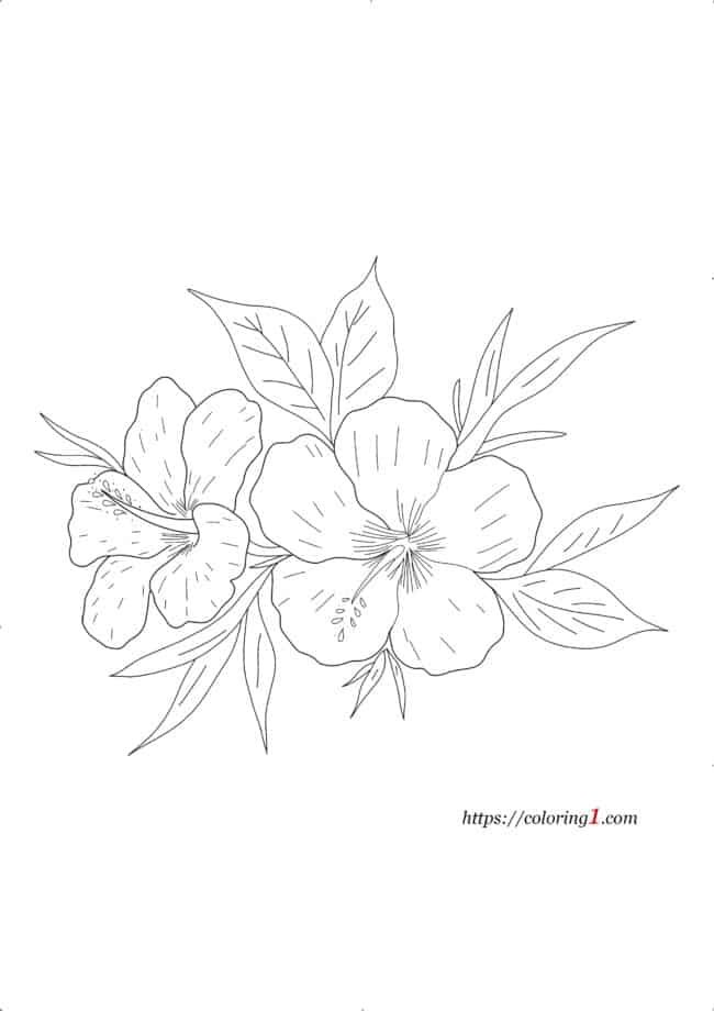 Hibiscus Bloem kleurplaat