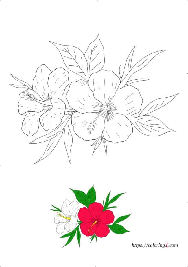 Coloriage Dessin Fleur Hibiscus à imprimer gratuit