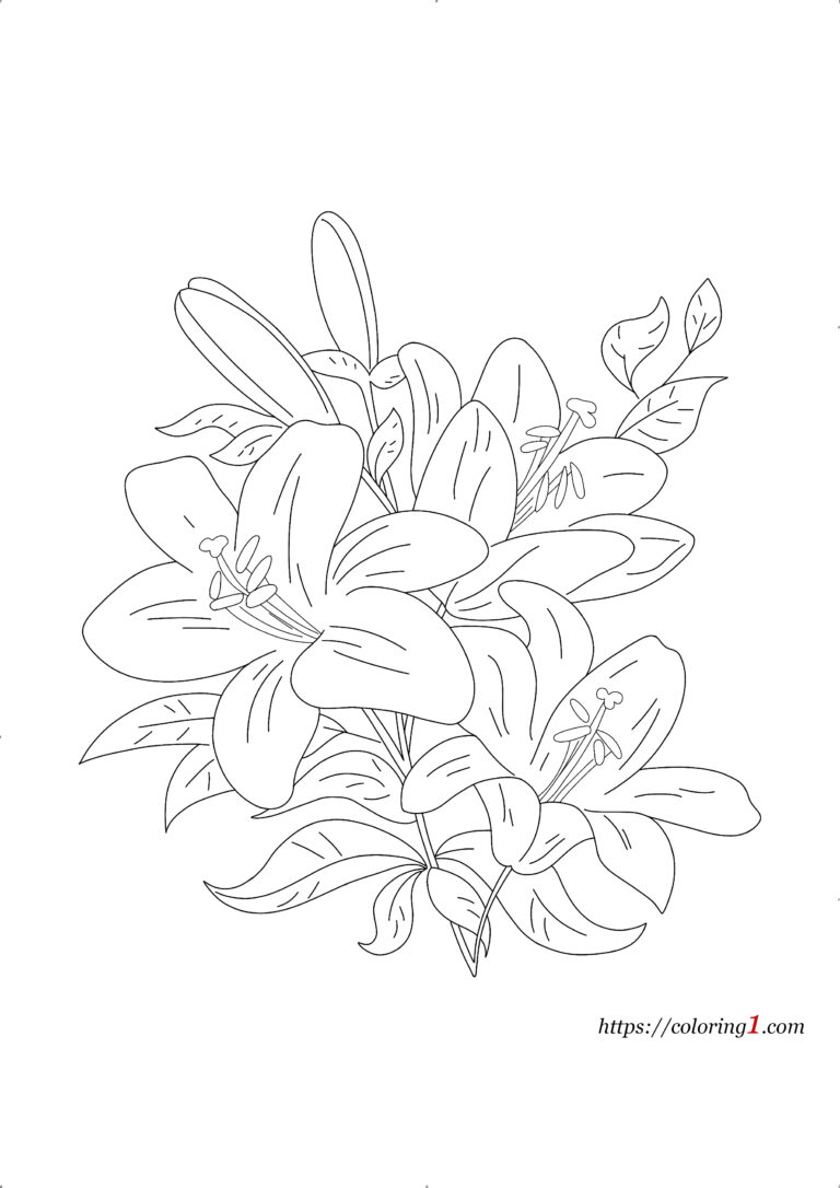 Lily Flower Coloring Pages - 2 Free Coloring Sheets (2021)