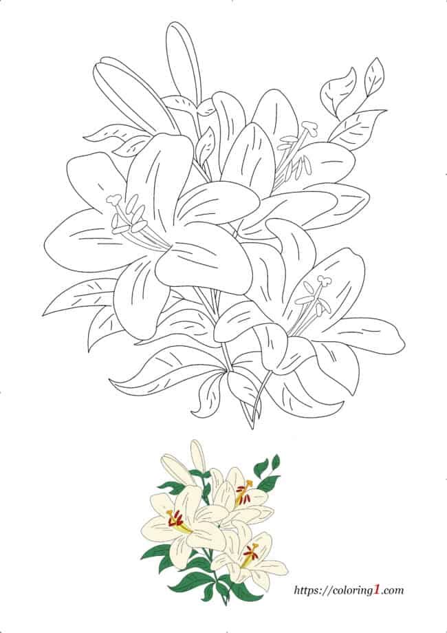 Lily Flower hard coloring page to print for adults
