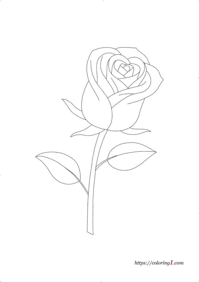 Coloriage Fleur Rose