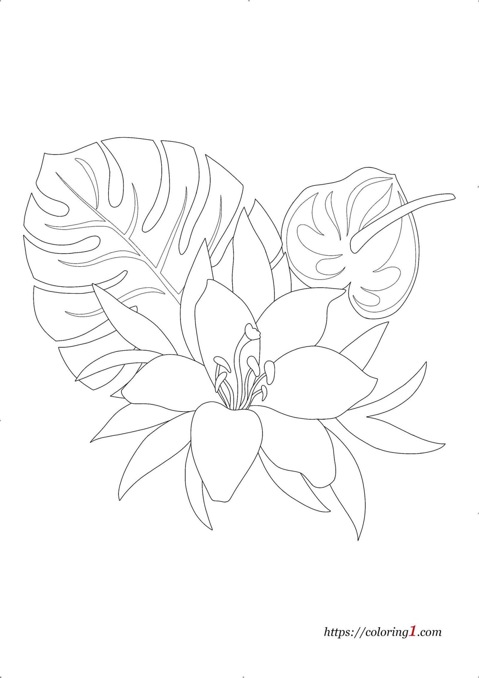 Tropical Flowers coloring page