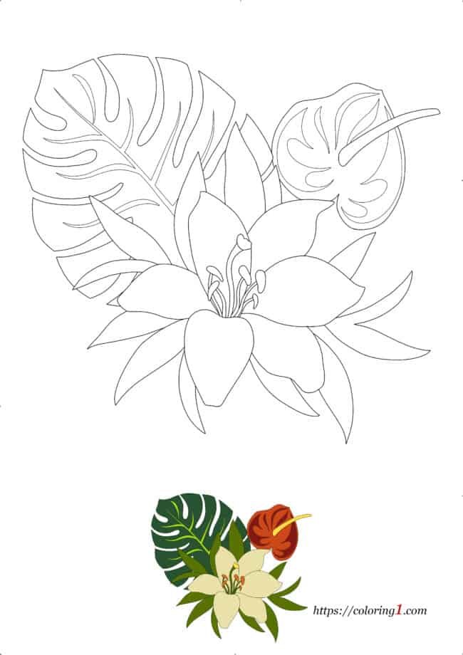 Tropical Flowers printable coloring page for adults and kids