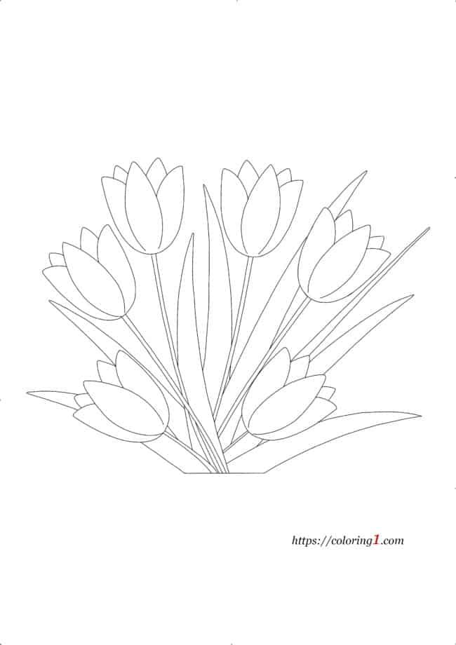 Kleurplaat Tulp Bloemen