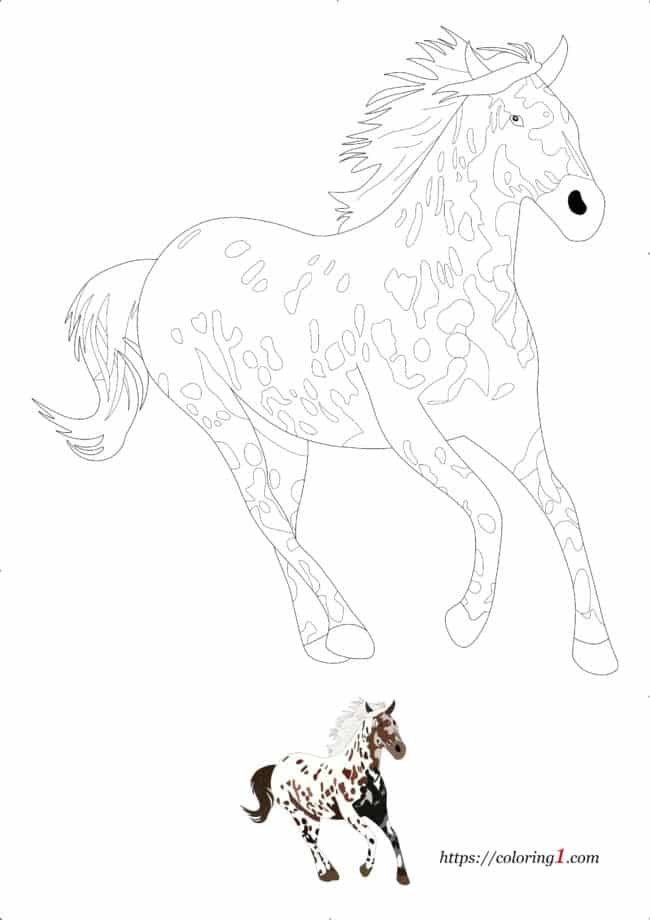 Appaloosa paard gratis afdrukbare kleurplaat voor volwassenen