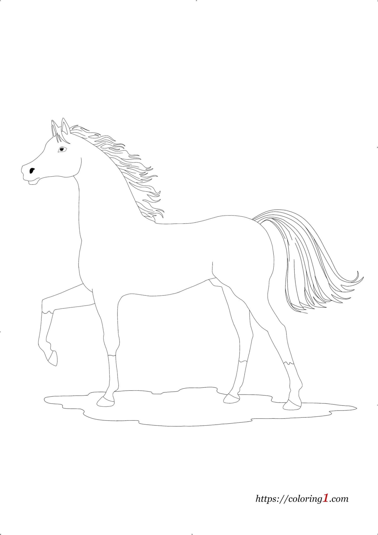 Coloriage Arabe Cheval