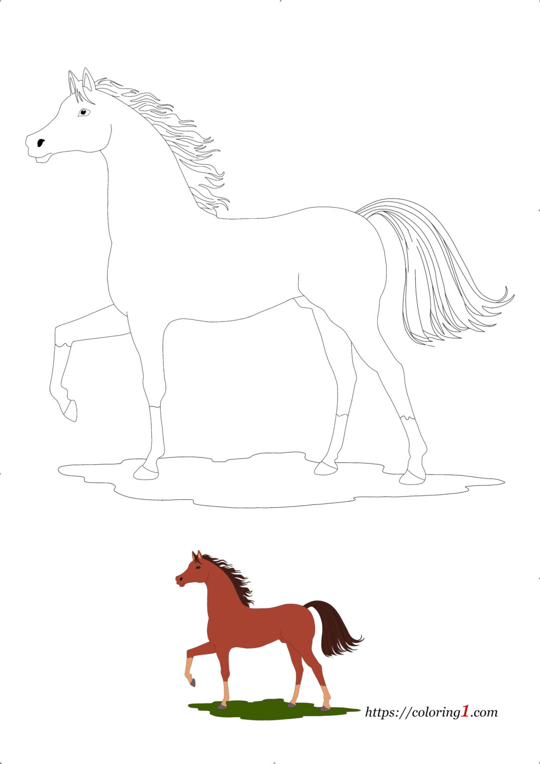Arabian Horse Coloring Pages - 2 Free Coloring Sheets (2021)