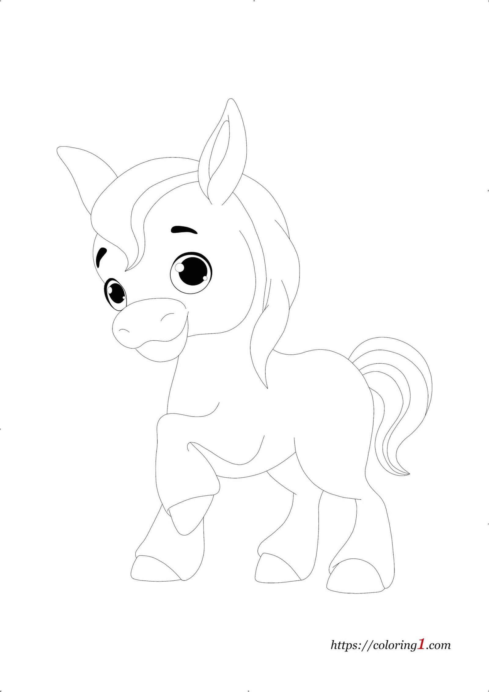 Baby Horse coloring page
