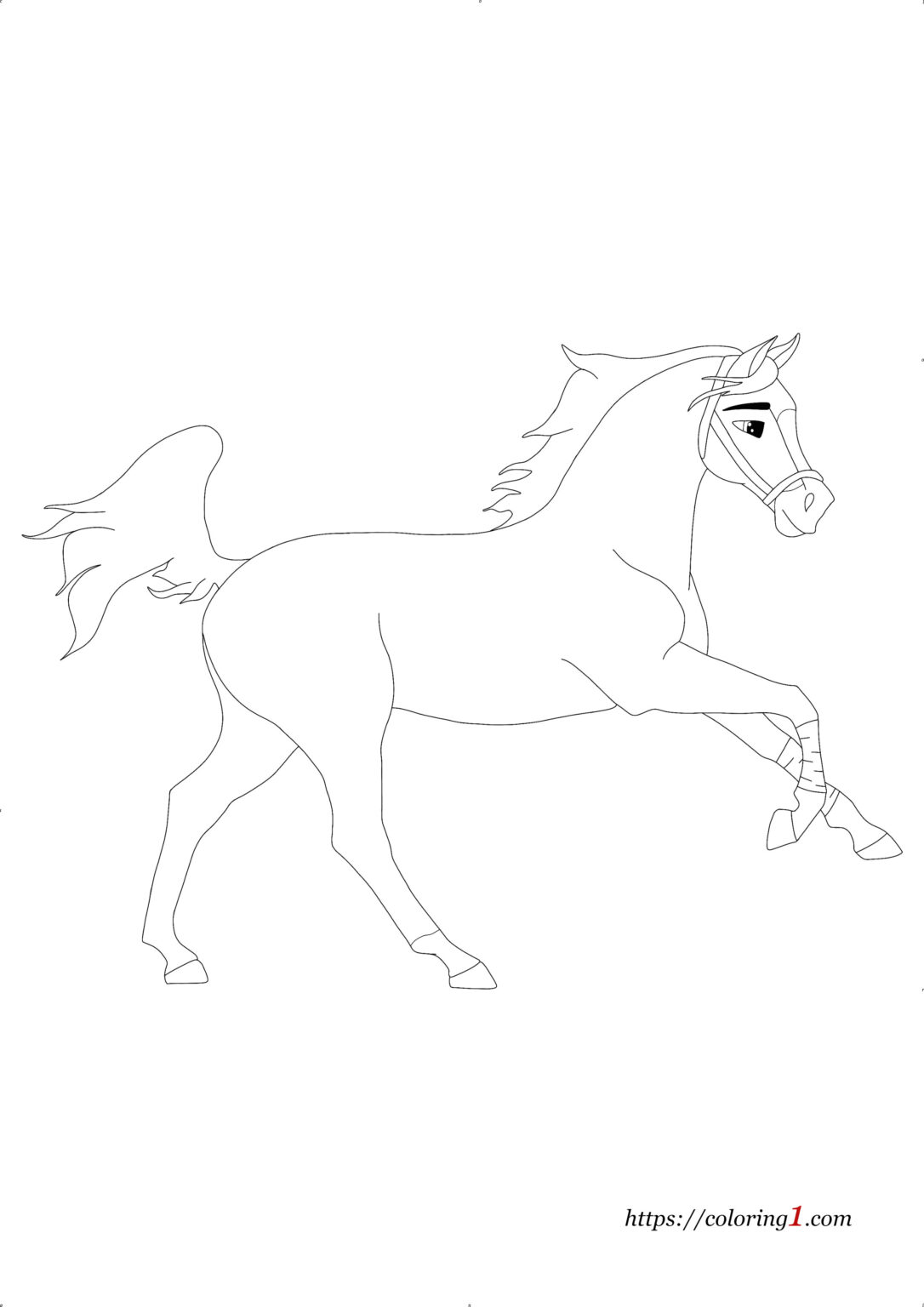 Breyer Horse Coloring Pages - 2 Free Coloring Sheets (2021)