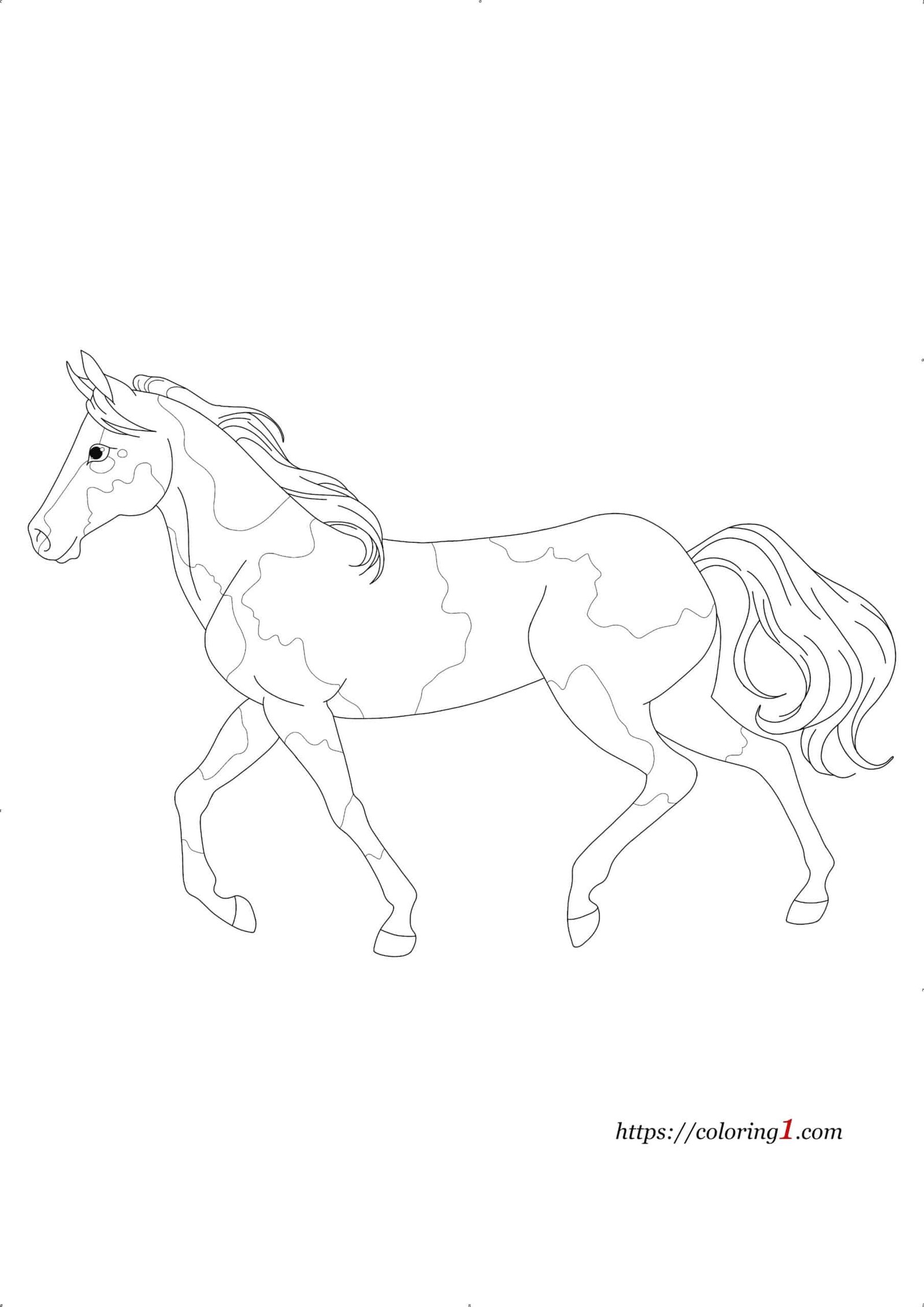 Pinto Horse coloring page