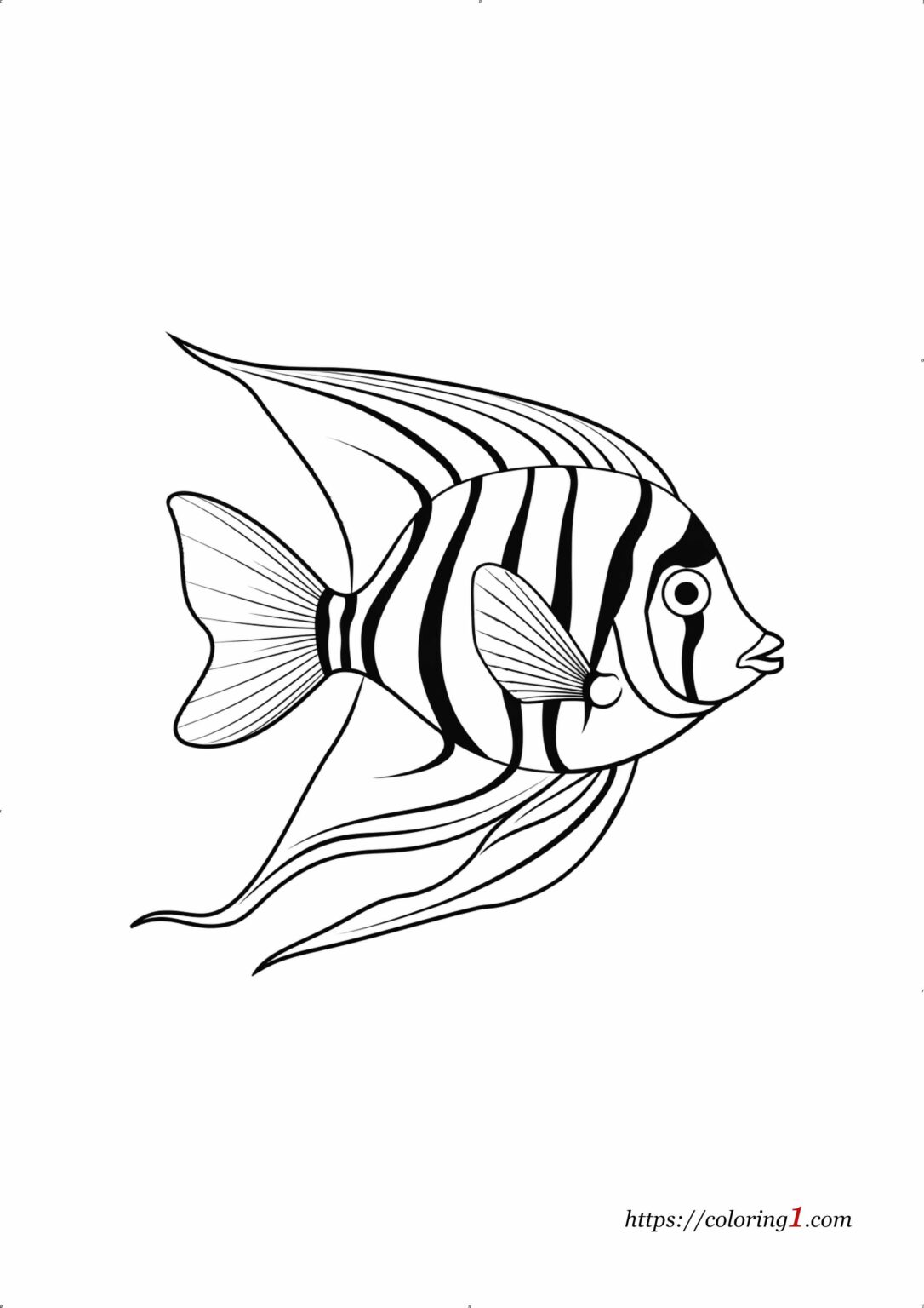 Angol Fish Angel Fish - Free Coloring Sheet