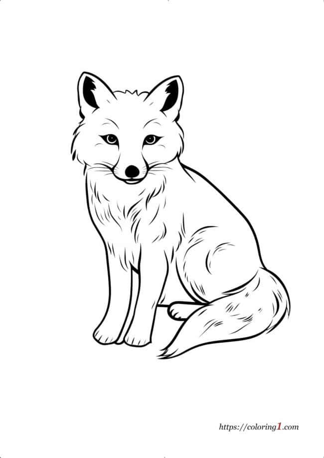 Arctic Fox printable coloring sheet for adults and kids