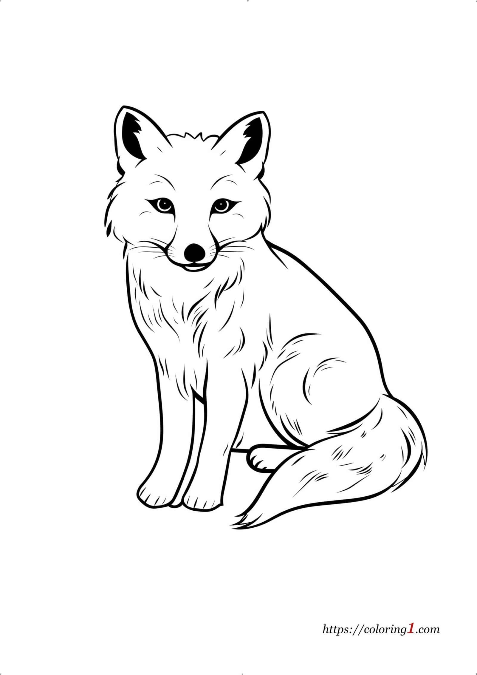 Arctic Fox printable coloring sheet for adults and kids