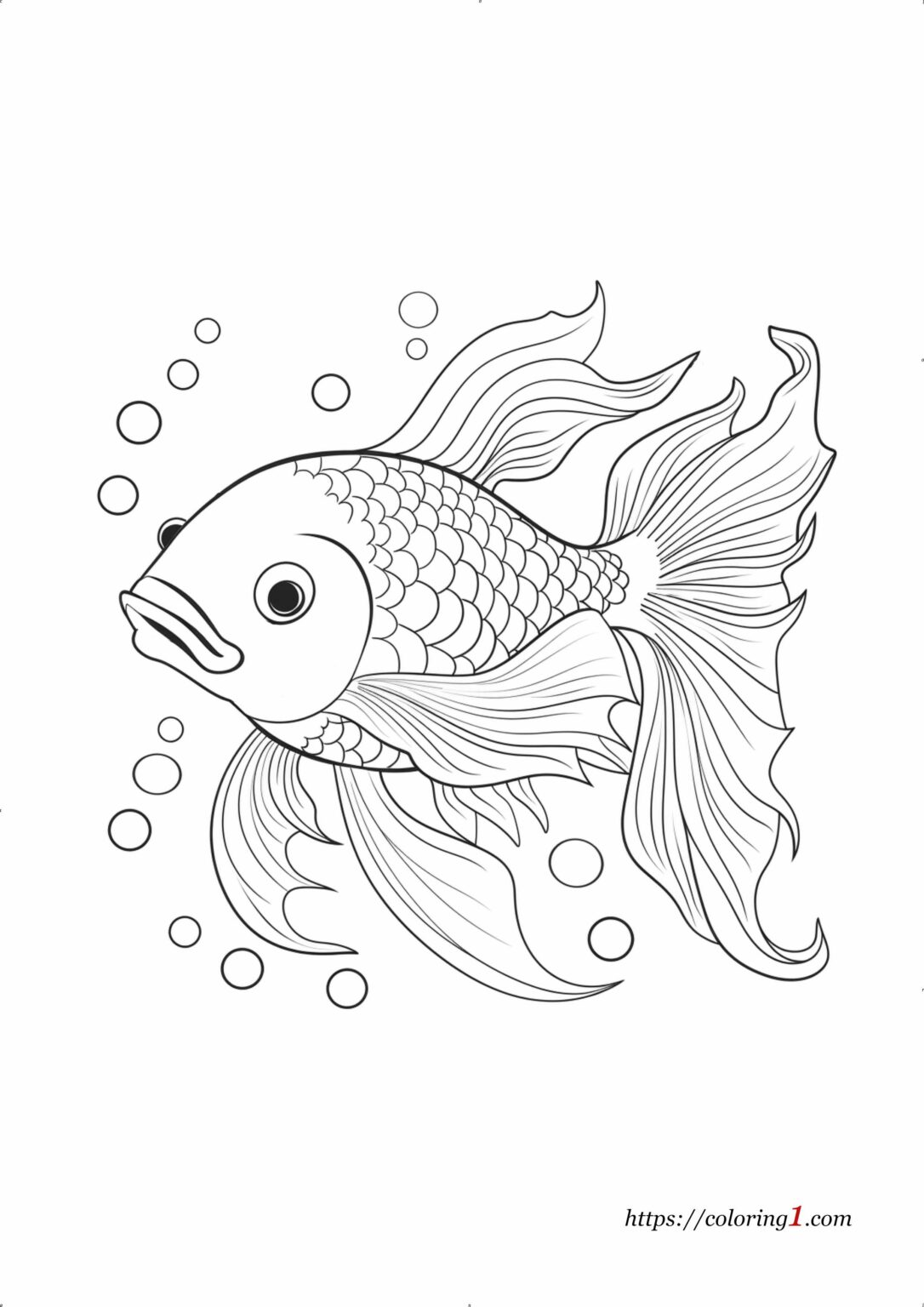 Coy Fish - Free Coloring Sheet