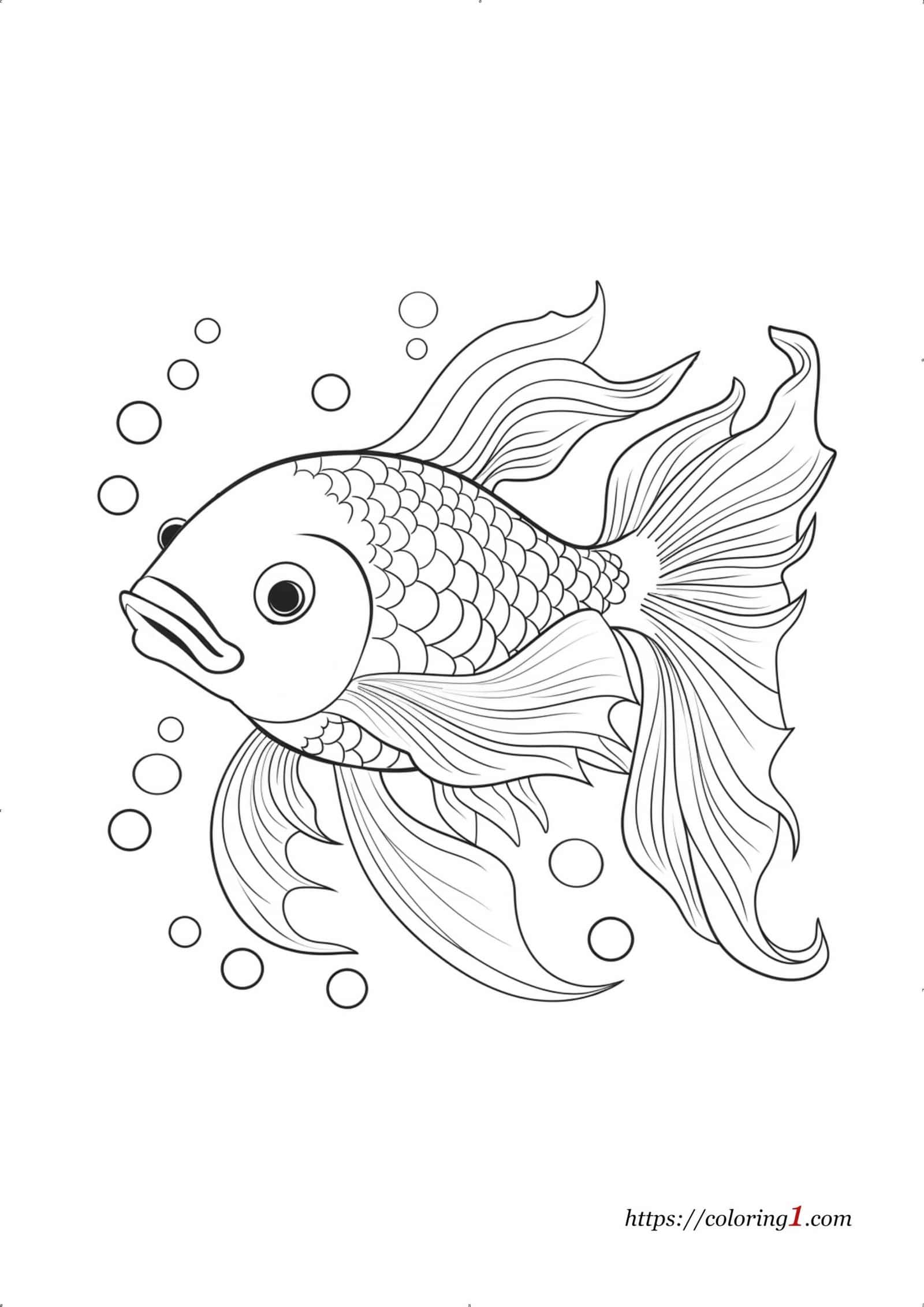 Coy Fish coloring page for baby