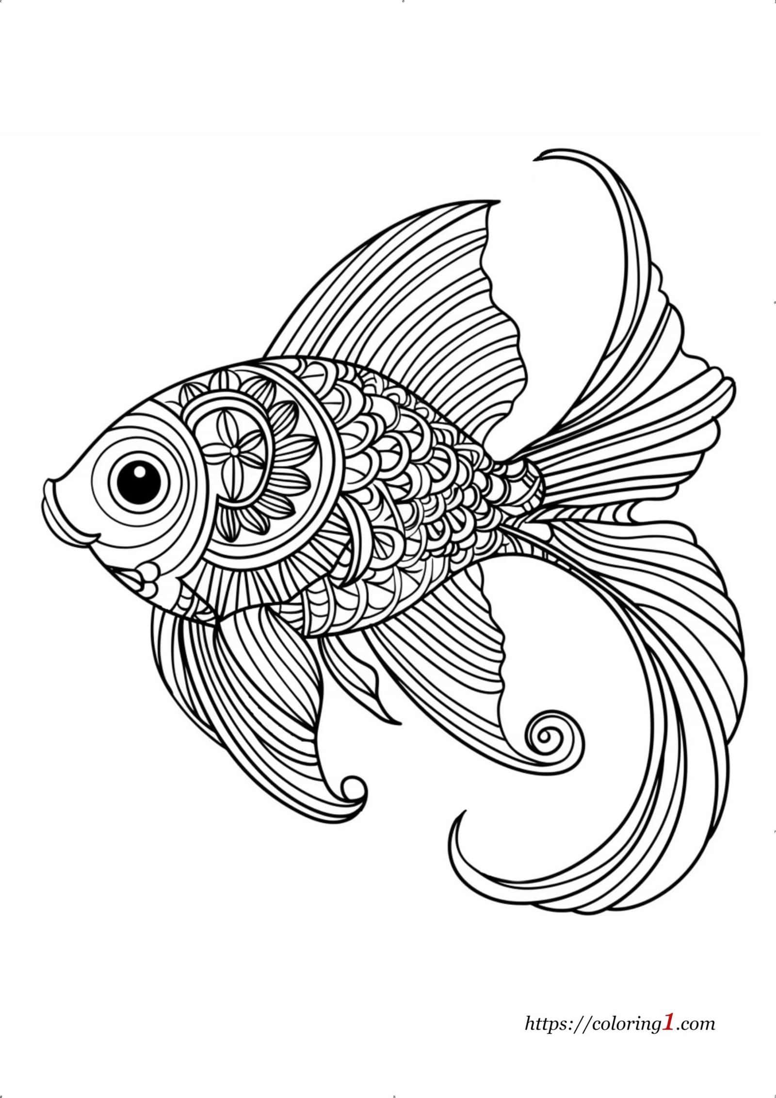 Coloriage De Poissons 39 Feuilles De Coloriage Gratuites Et Imprimables Coloriage De Poissons 39 Feuilles De Coloriage Gratuites Et Imprimables