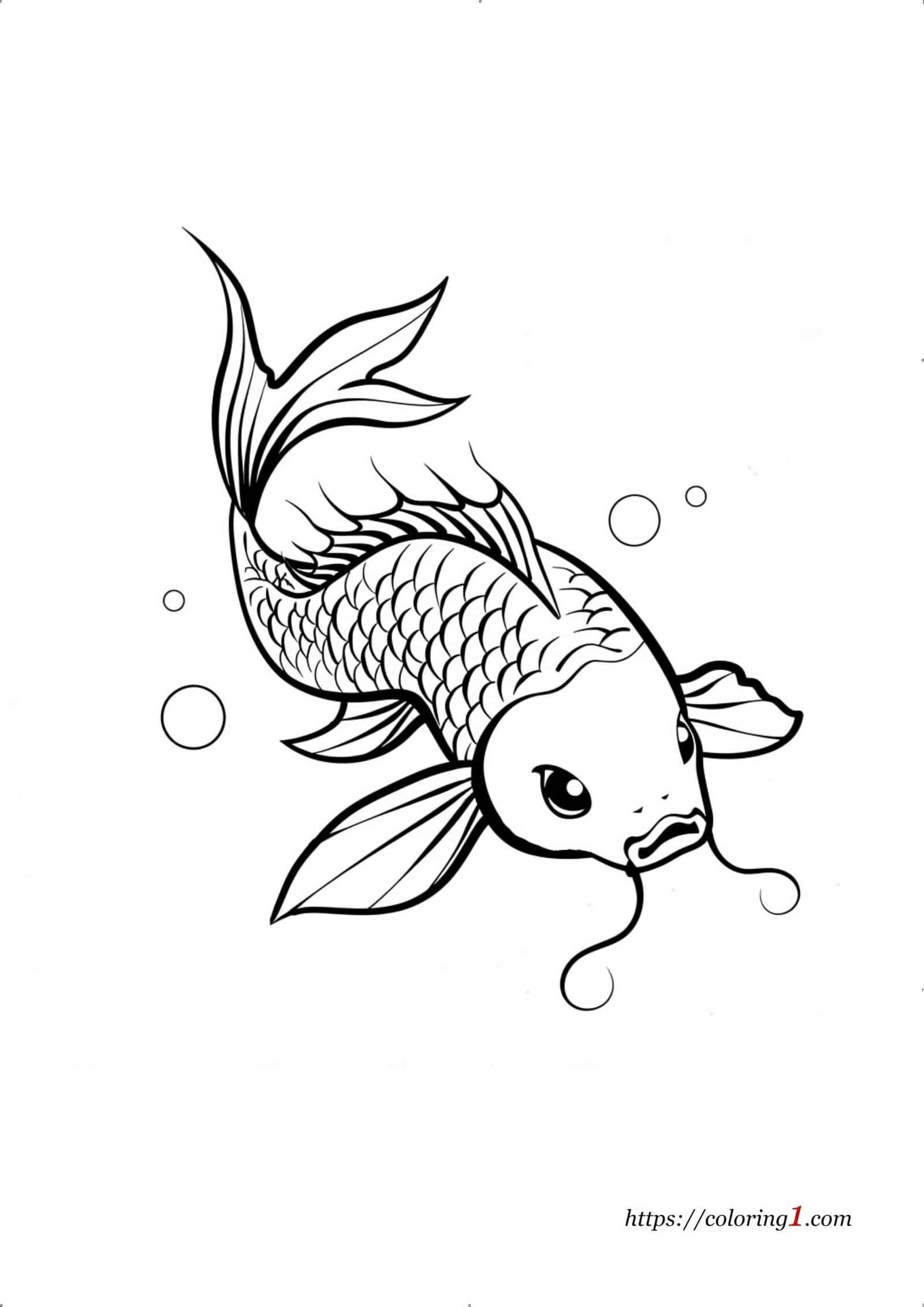 Japanese Koi Fish free coloring book page