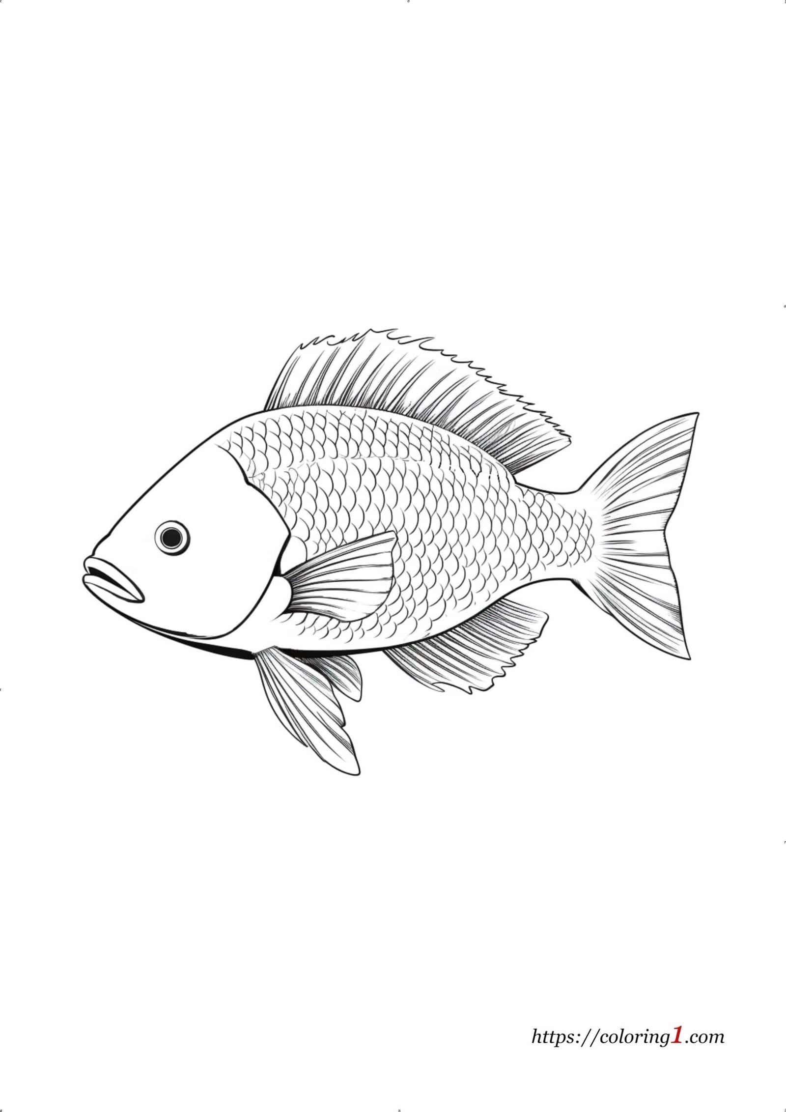 Fish Coloring Pages 39 Free Printable Coloring Sheets