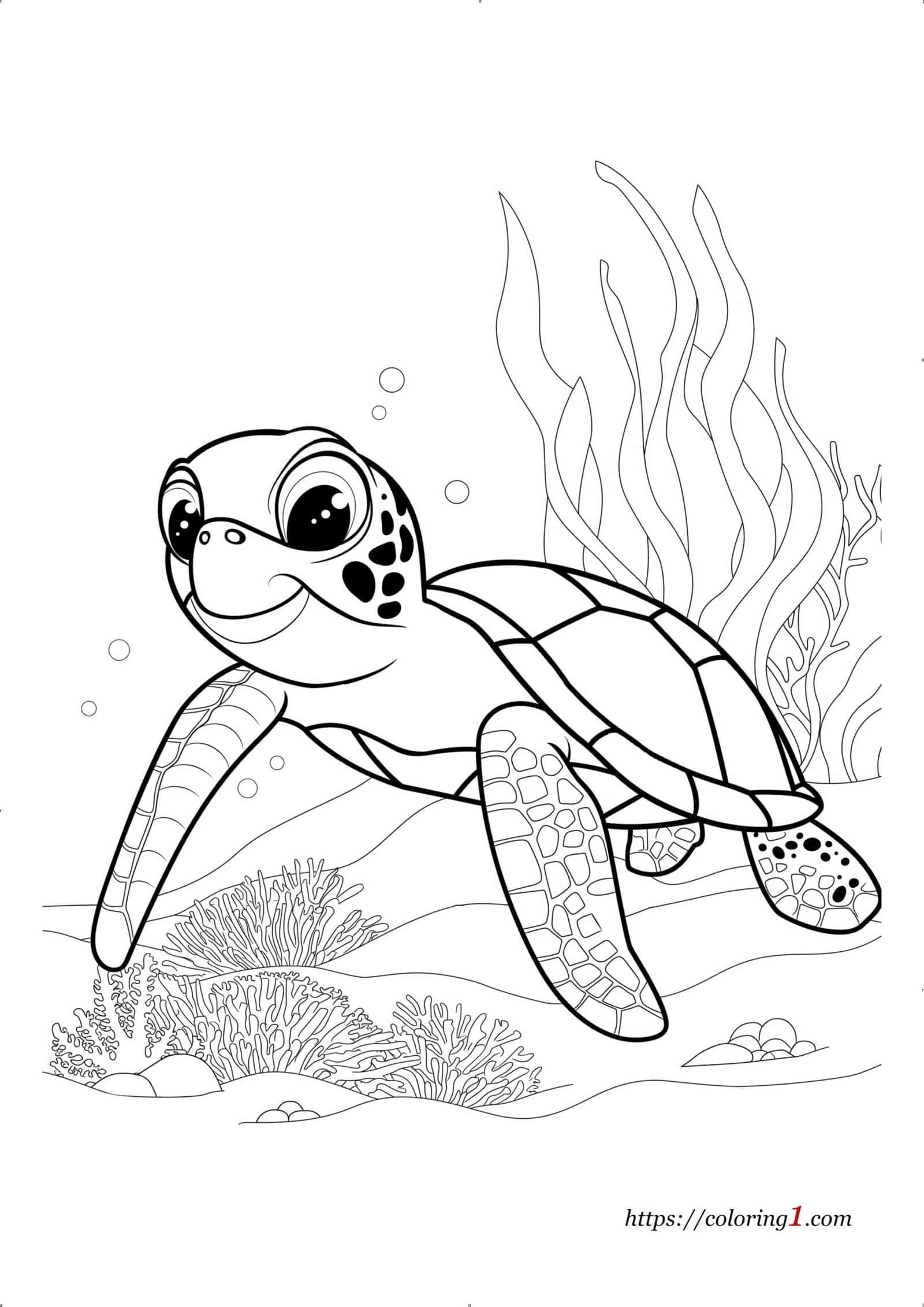 Tortue de mer à coloriage pour les enfants