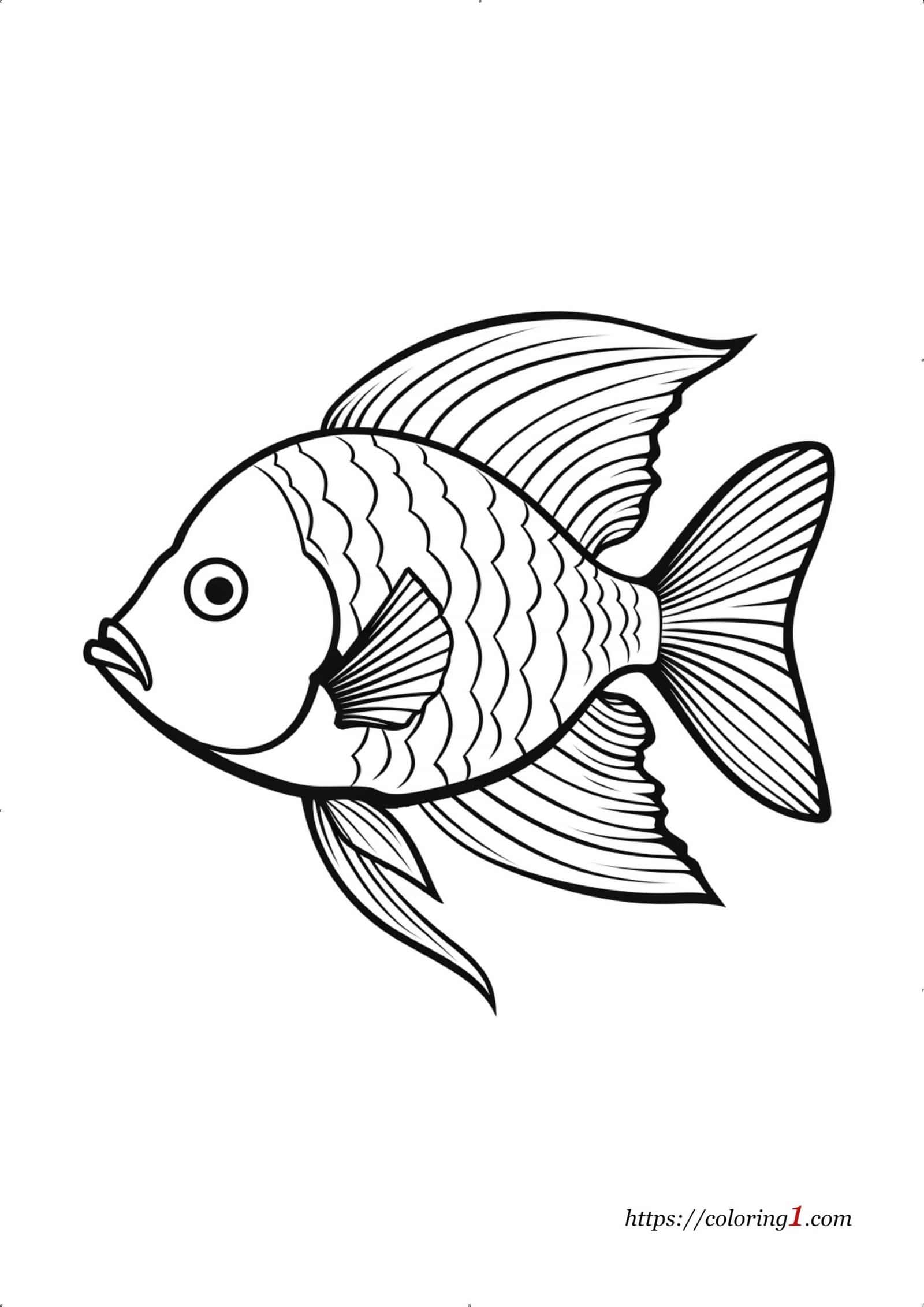 Coloriage De Poissons 39 Feuilles De Coloriage Gratuites Et Imprimables Coloriage De Poissons 39 Feuilles De Coloriage Gratuites Et Imprimables