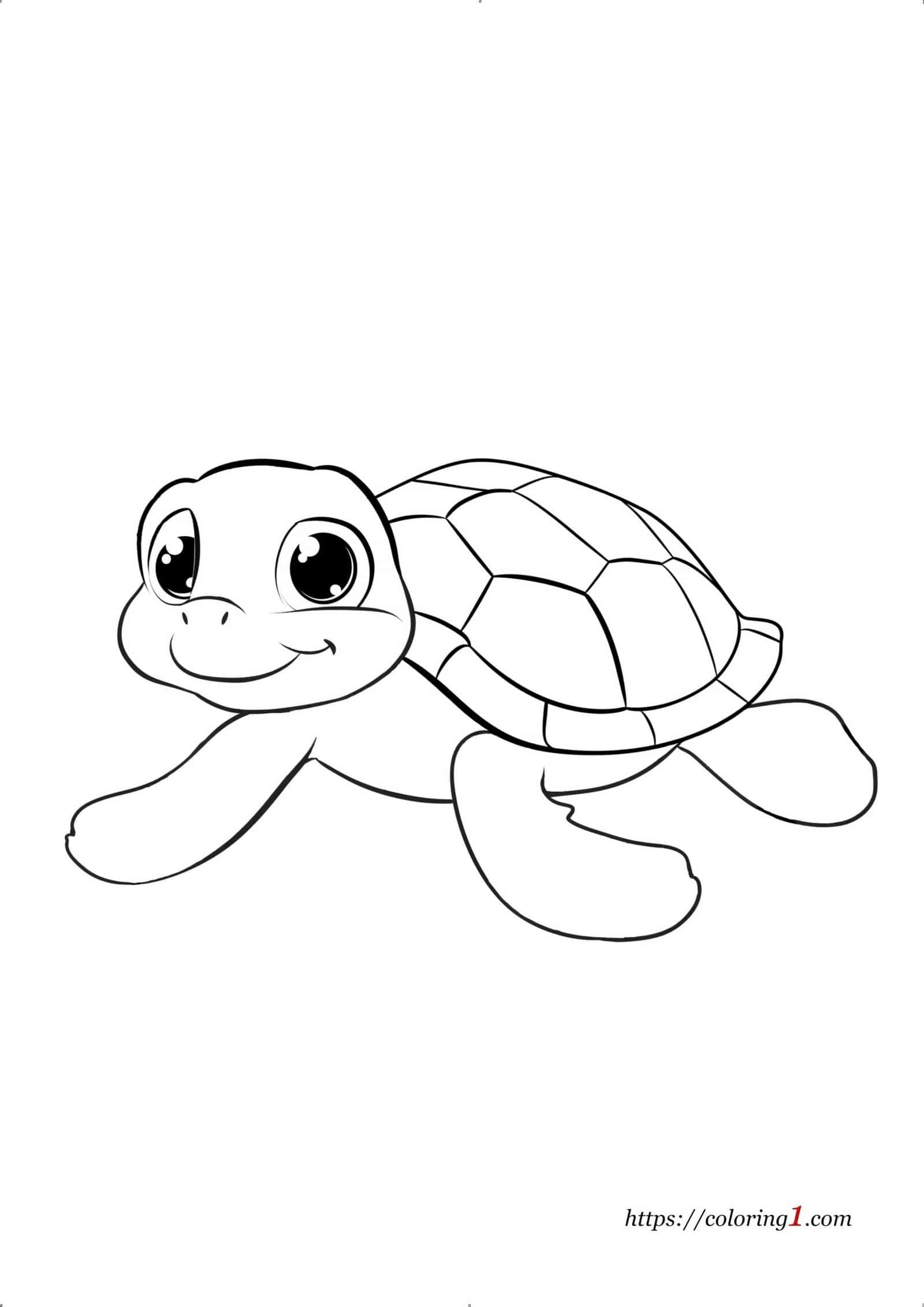 Turtle Coloring Page for Preschoolers