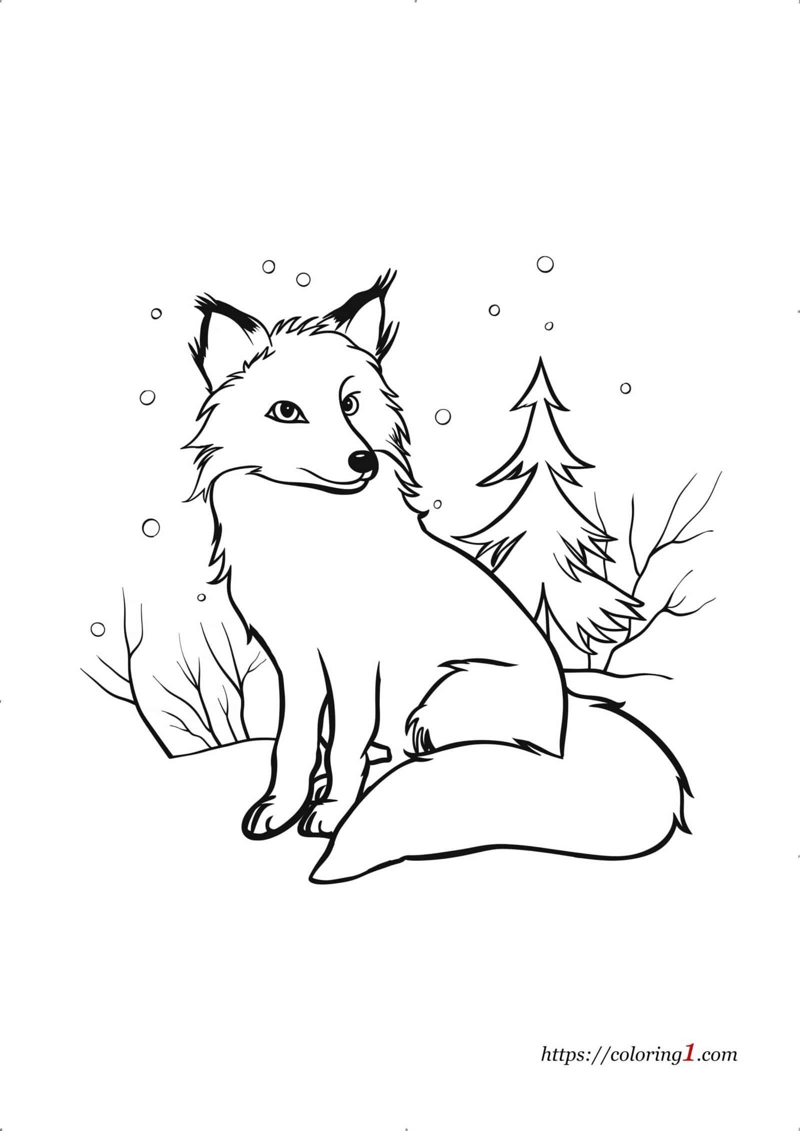 Winter Fox coloring page for kids