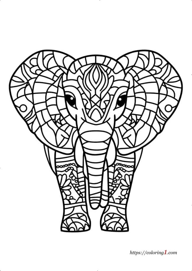 Mandala Elefante disegno da colorare per adulti e bambini